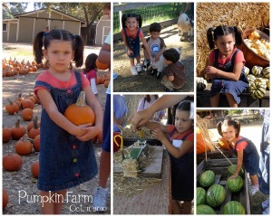 clare pumpkin farm 2010