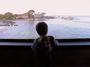 papi overlooking the ocean