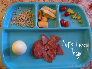 kids lunch tray