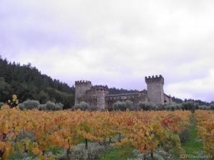 Castillo de Amirosa