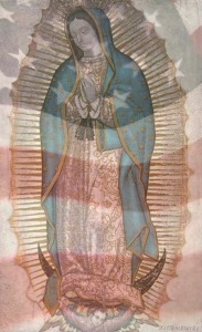 America for Mary, Our Blessed Mother logo