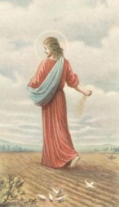 Sower of Seed Holy Card