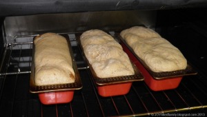 mp2090145 bread in oven
