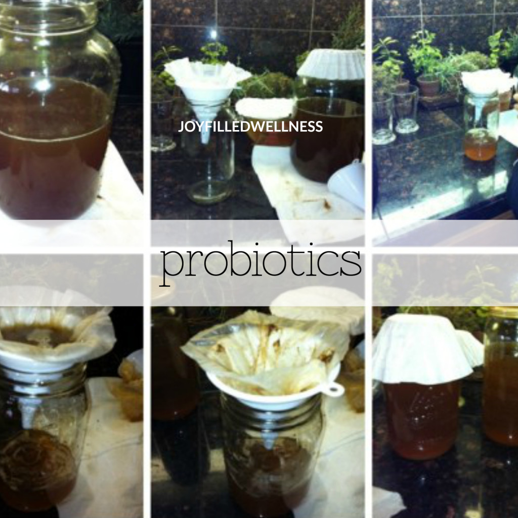 probiotics joyfilledwellness