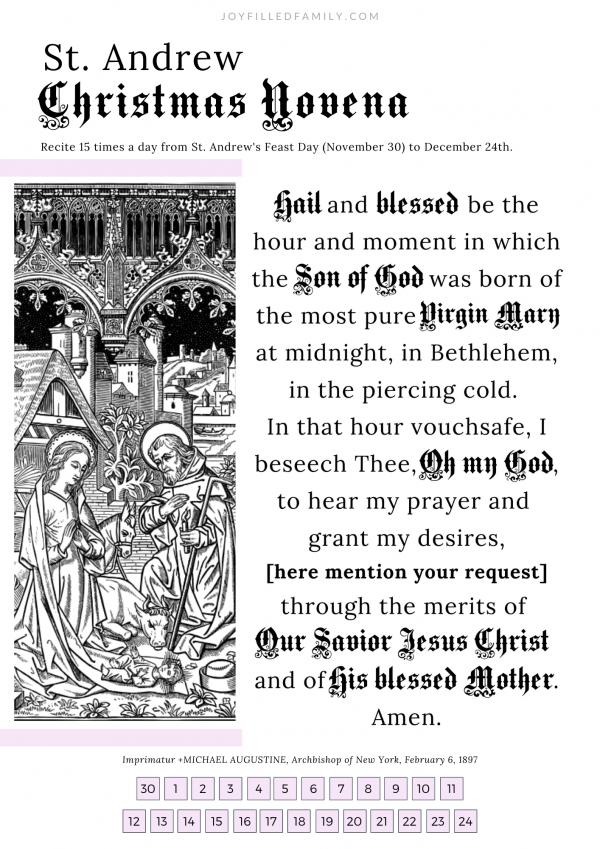 St. Andrew ~ Christmas Novena